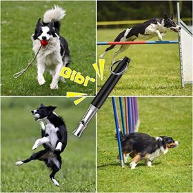 Dog Whistle; 2 Pack Professional Ultrasonic Dog Whistle to Stop Barking; Recall Training; Adjustable Ultrasonic Silent Dog Whistle; with Black Lanyard